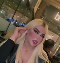 Beso - Transsexual escort in Erbil