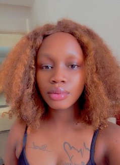 Best African Girls in Chandigarh - Agencia de putas in Chandigarh Photo 10 of 19