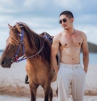 Best Asian - Male escort in Bangkok Photo 8 of 8