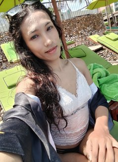Best Best - Transsexual escort in Bangkok Photo 13 of 13