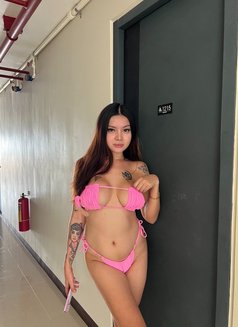 BEST BOOKING TRANS (Available 4 Camshow) - Transsexual escort in Cebu City Photo 14 of 14