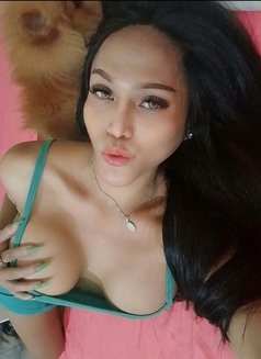 Best Ladyboy in Town - Transsexual escort in Bali Photo 6 of 9