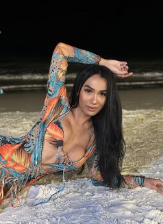 LUSTY LADYBOY - Transsexual escort in Bangkok Photo 29 of 30