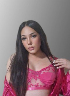 BEST SERVICE IN TOWN / HEBA - Transsexual escort in Al Ain Photo 15 of 18