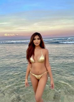 Viva Hot babe *SOPHIA - escort in Manila Photo 11 of 22