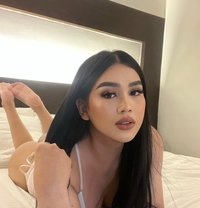 Your Newest Obsession Now in Town - Transsexual escort in Kuala Lumpur