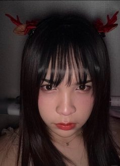 Beszqueen - Transsexual escort in Gwangju Photo 7 of 7