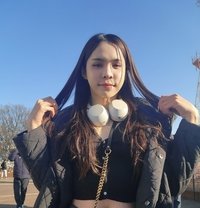 Beszqueen - Acompañantes transexual in Daegu