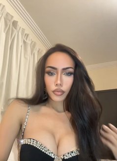 Bey Bey Ladyboy Bahrian both πΉππΉπ - Transsexual escort in Al Manama Photo 2 of 5