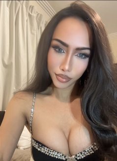 Bey Bey Ladyboy Bahrian both πΉππΉπ - Transsexual escort in Al Manama Photo 4 of 5