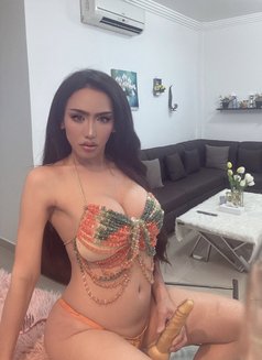 Bey Bey Ladyboy Bahrian 🇹🇭🇹🇭 - Acompañantes transexual in Al Manama Photo 5 of 9