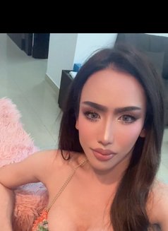 Bey Bey Ladyboy Bahrian 🇹🇭🇹🇭 - Acompañantes transexual in Al Manama Photo 9 of 9