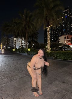 Bhaddie fat cat 🫶🏻 - escort in Bangkok Photo 16 of 18