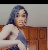 Bhrandy - Transsexual escort in Nairobi