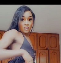 Bhrandy - Transsexual escort in Nairobi
