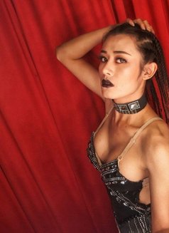 Bi Bi LADYBOY - masseuse in Abu Dhabi Photo 14 of 17