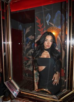 Bia - escort in Dubai Photo 11 of 28