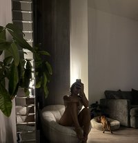 Bianca - escort in Paris