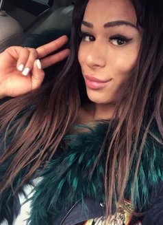 Pretty Monica Just Landed - Transsexual escort in Riyadh Photo 9 of 13