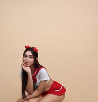 Bianca for Camshow & Meetup - Transsexual escort in Manila