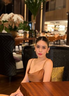 Bianca (Independent) - escort in Bangkok Photo 8 of 16