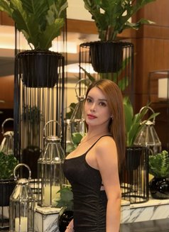 Bianca (Independent) - escort in Bangkok Photo 11 of 16
