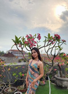 Bianca - escort in Bali Photo 1 of 8