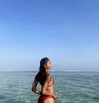 Bianca - Transsexual escort in Bali