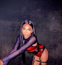 Bianca roze - Transsexual escort in Bali