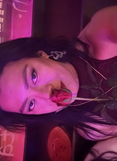 Bianca Tan - Transsexual escort in Prague (Praha) Photo 1 of 4