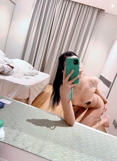 Bibi Horny ASS VIP - escort in Al Manama Photo 10 of 12