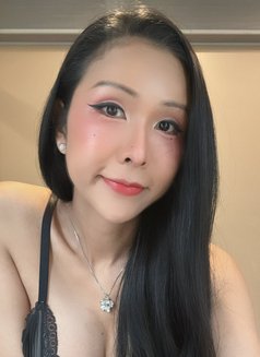 BiBi Suck very good - escort in Kaohsiung Photo 15 of 16