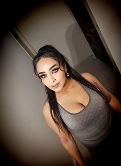 Bibo Vip⚜️ - escort in Beirut Photo 2 of 4
