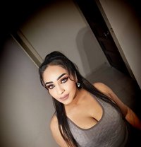 Bibo Vip⚜️ - escort in Beirut
