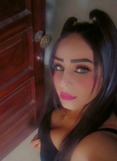 Bibo Vip⚜️ - escort in Beirut Photo 3 of 4