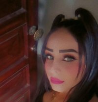 Bibo Vip⚜️ - escort in Beirut