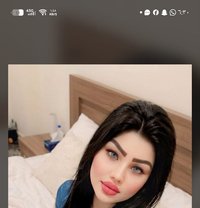 Bibo Vip⚜️ - escort in Beirut