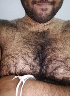 Big and sexy grizzly bear - Male escort in Colombo Photo 2 of 7