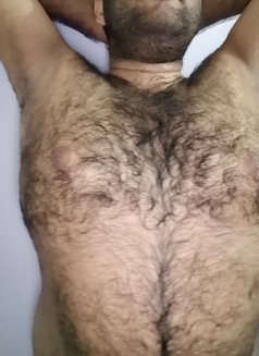 Big and sexy grizzly bear - Male escort in Colombo Photo 3 of 7