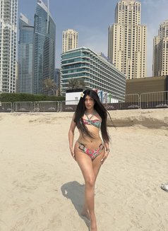 Big Ass Ashley Doll - Acompañantes transexual in Dubai Photo 13 of 13