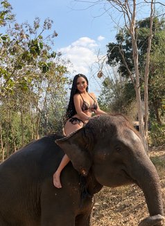 Big Ass PSE (CREAMPIE) YES to ALL - puta in Bangkok Photo 25 of 30