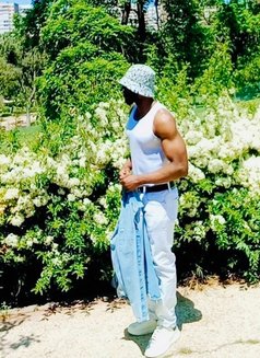 Big Big Long Black - Male escort in Al Manama Photo 24 of 24