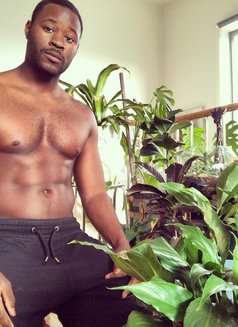 Big Black Dick Robert - Male escort in Doha Photo 2 of 6