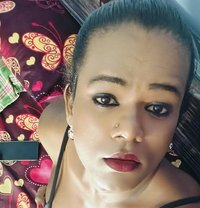 Big Boobs Bavya Shemale Lives in Chennai - Transsexual escort in Chennai