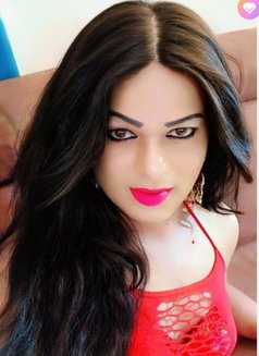 Big C0 Ck Shemale - Transsexual escort in Hyderabad Photo 1 of 4