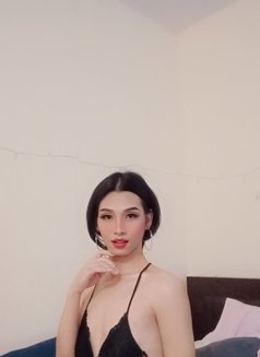 🏳️‍Big cock and cum a lot, Both - Transsexual escort in Doha Photo 1 of 7