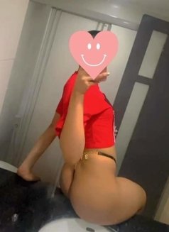 🇯🇵Big cock and good service, Both 🏳️‍ - Transsexual escort in Doha Photo 3 of 6