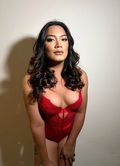 Big Cock Kim - Transsexual escort in Dubai Photo 4 of 7