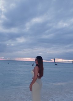 Big Cock Lexi - Transsexual escort in Makati City Photo 8 of 12