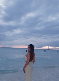 Big Cock Lexi - Transsexual escort in Makati City Photo 11 of 12